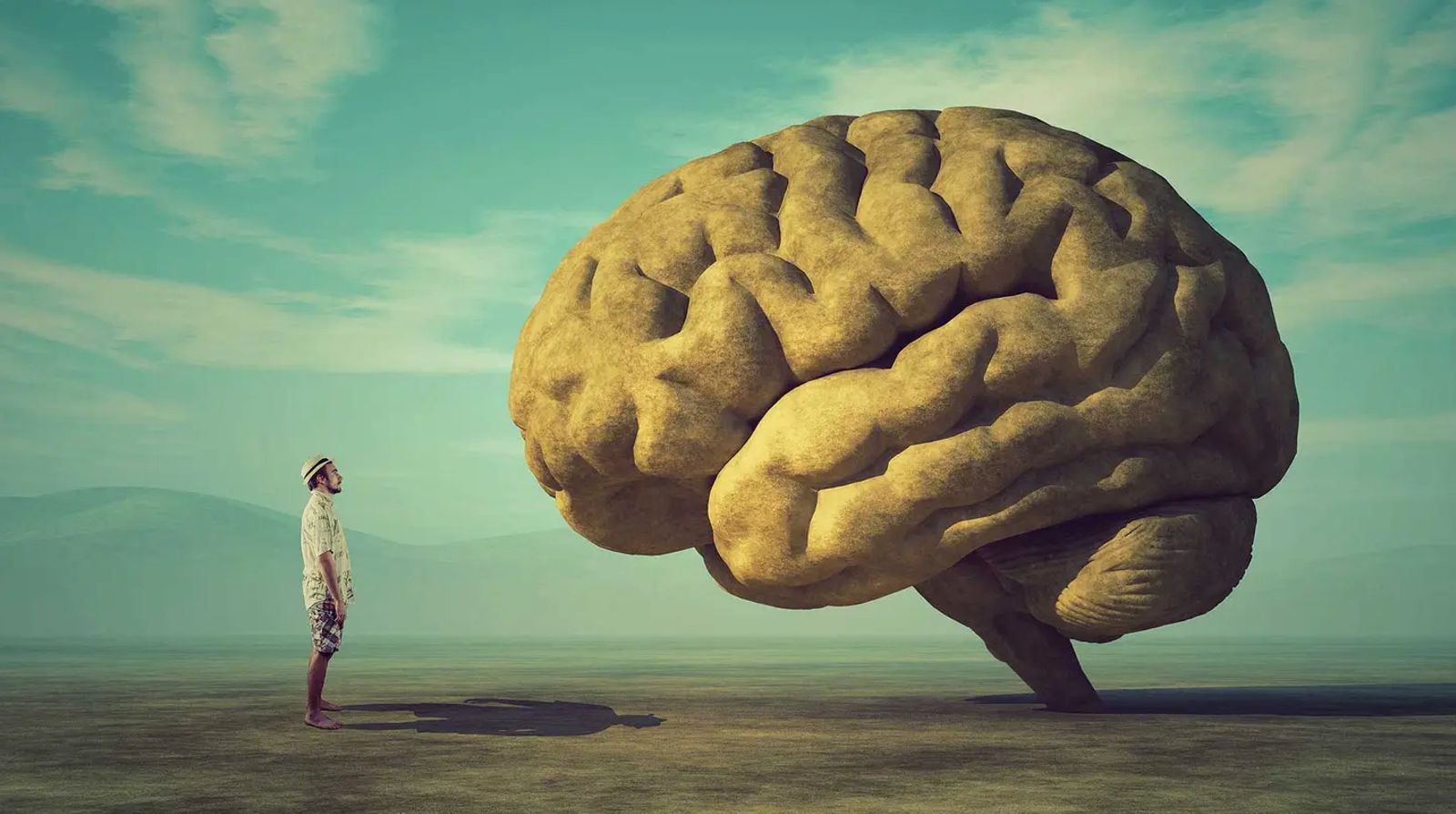 „Am uitat să mai gândim”